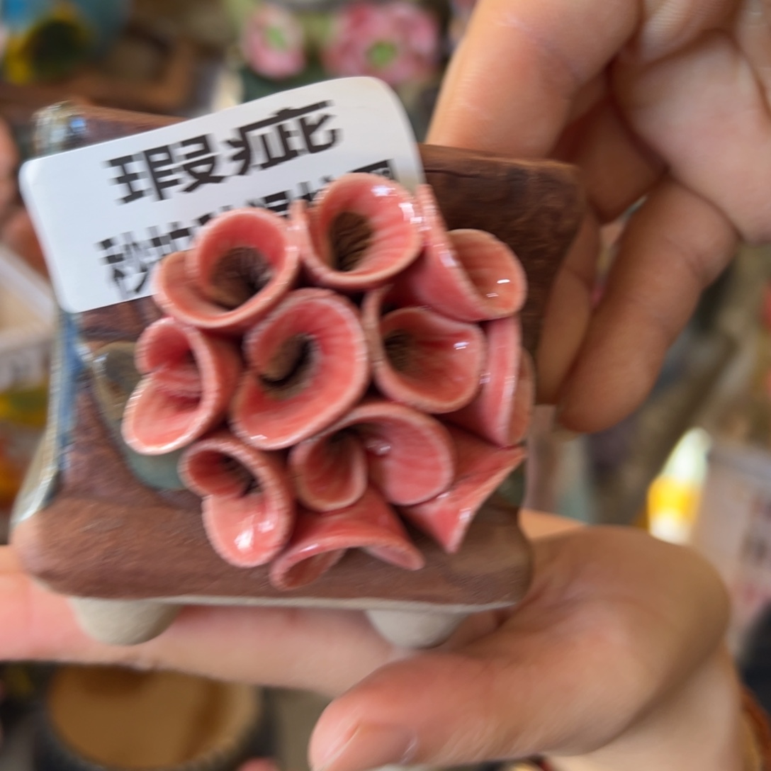 花盆，拍满20发货，退款拉黑