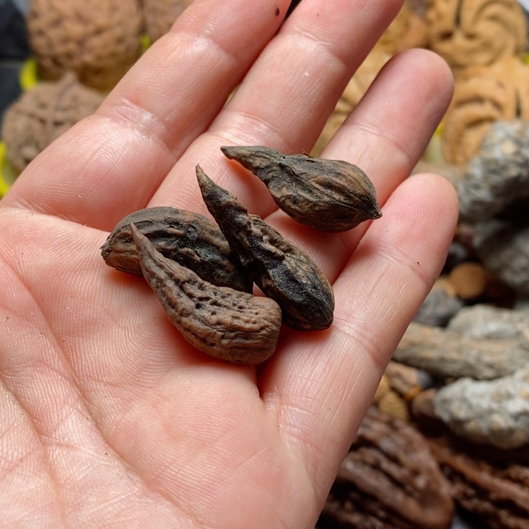 文玩核桃吊坠核桃69