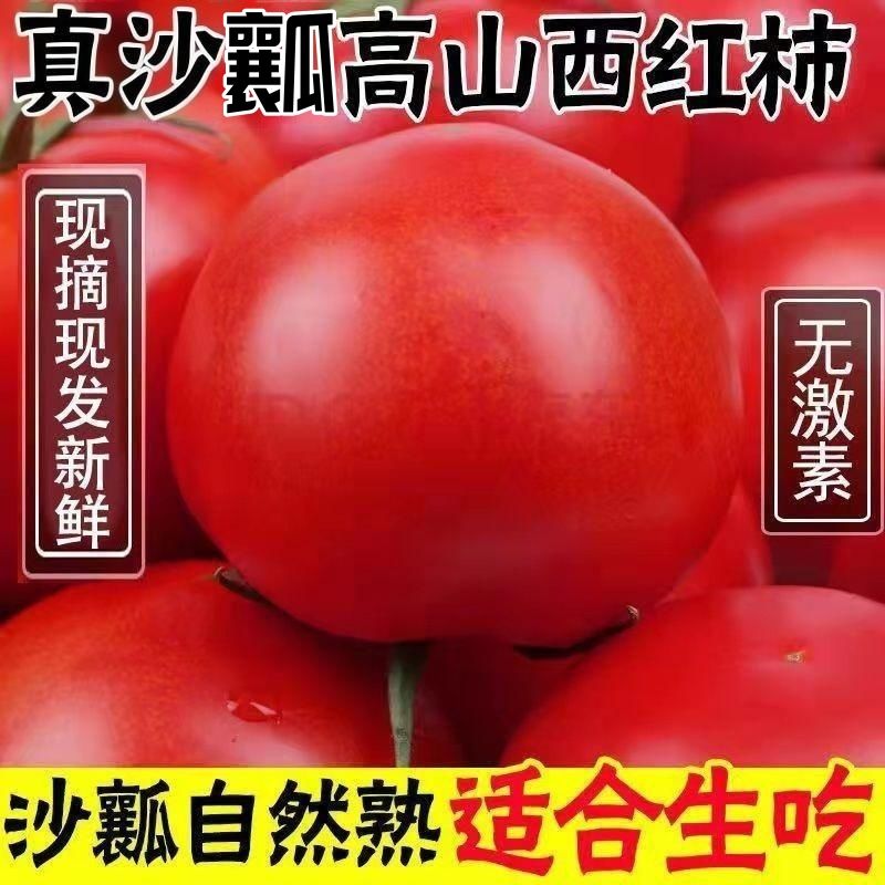 新鲜番茄5斤番茄自然熟产地直发沙瓤番茄西红柿
