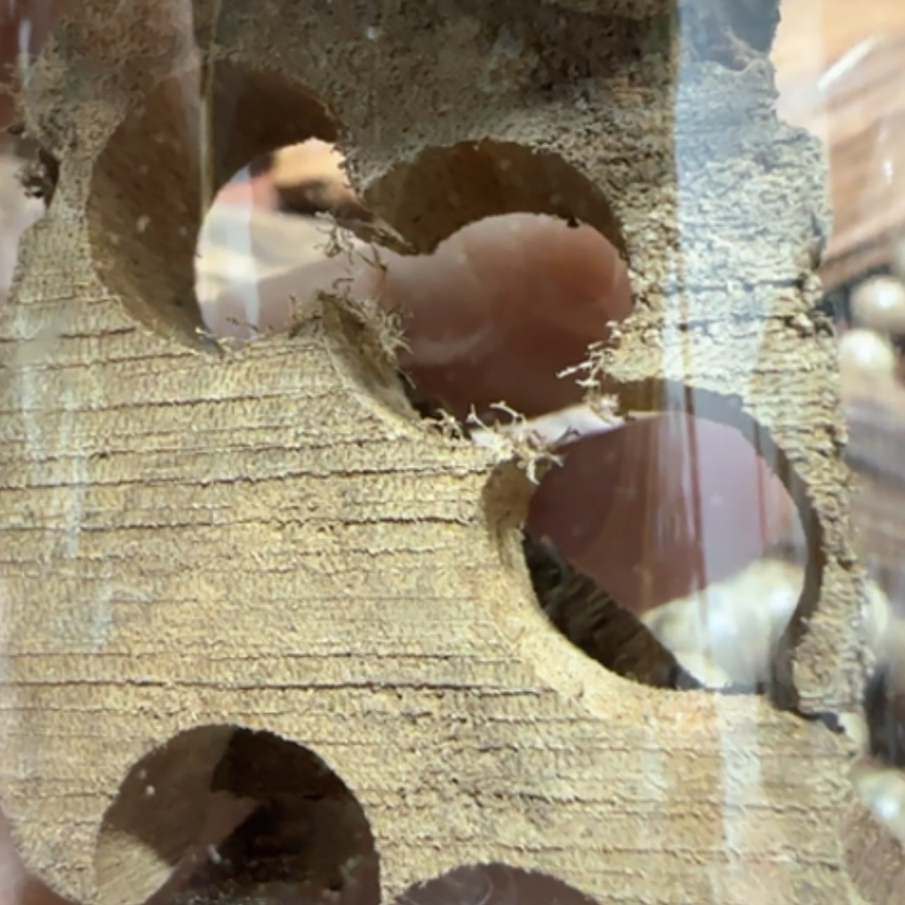 【闪购商品】沉香手串印尼品香料10克