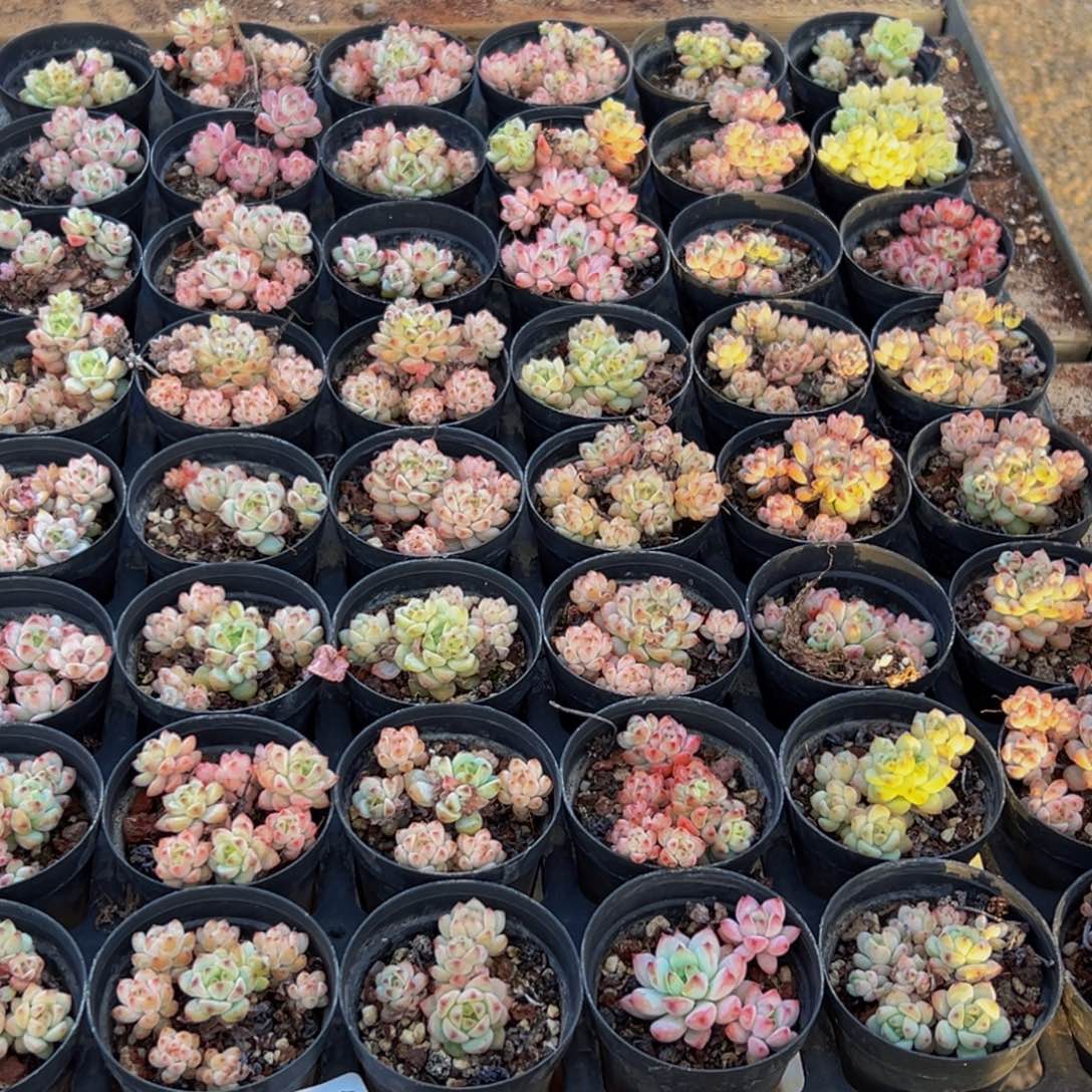 913大热天的一天从早上开始就