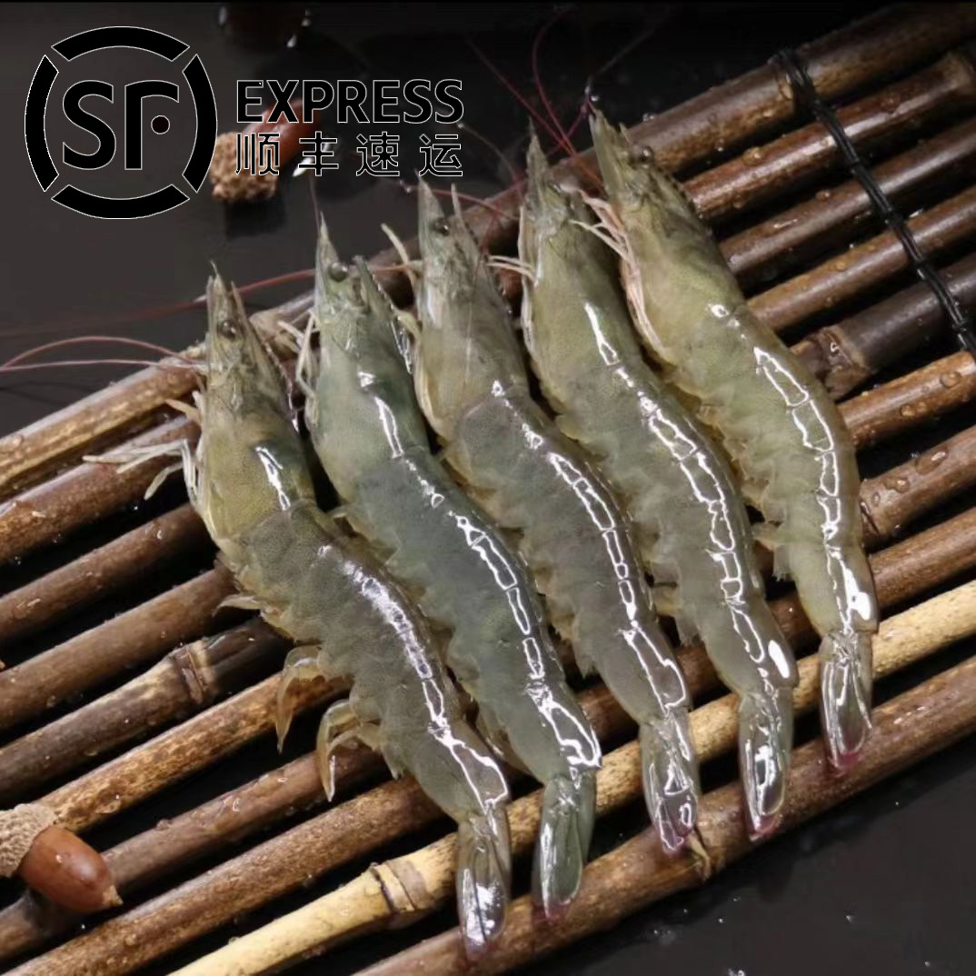 海捕野生小白虾海毛虾 一斤30-40只左右500G/盒*4盒 到手2000G