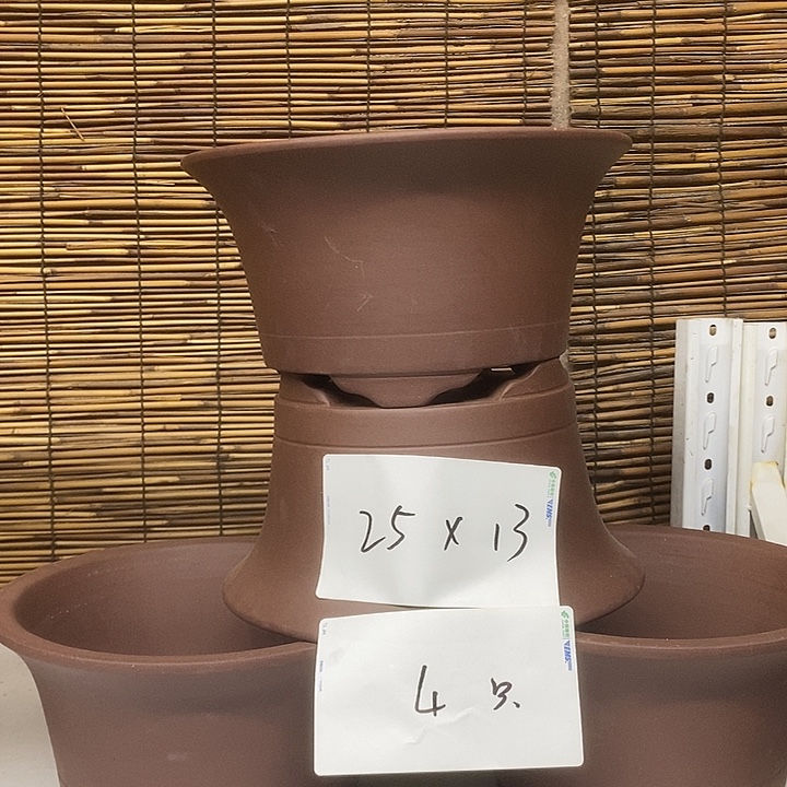 紫砂花盆我在外面