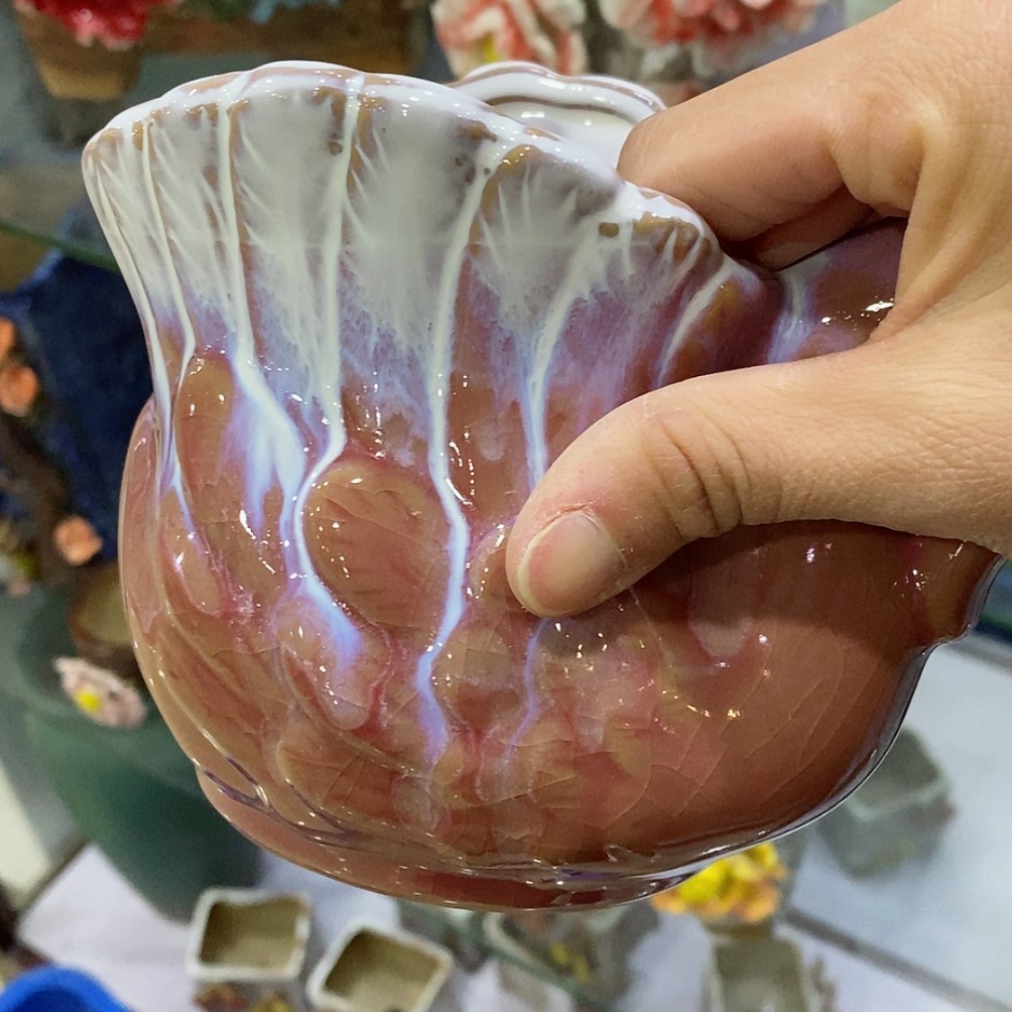 【闪购商品】红陶福利