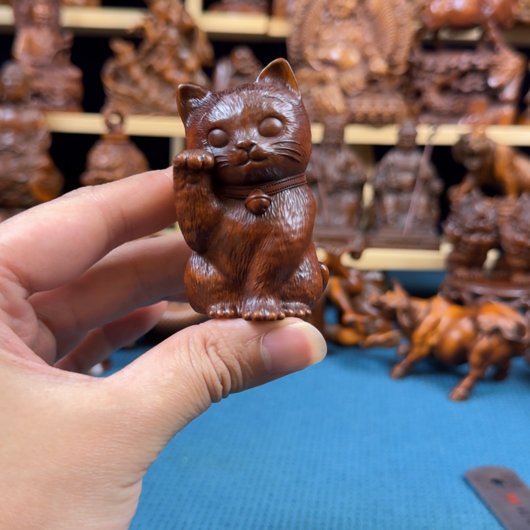 黄杨木小叶黄杨木