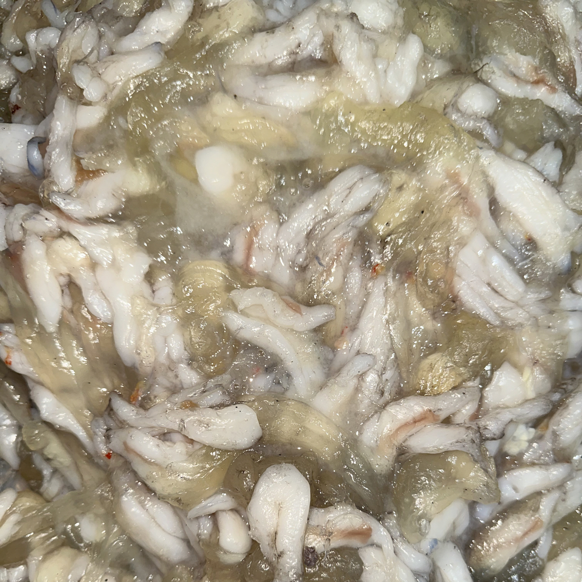 汕尾碣石本港鱿鱼饭 鱿鱼膏 香香香