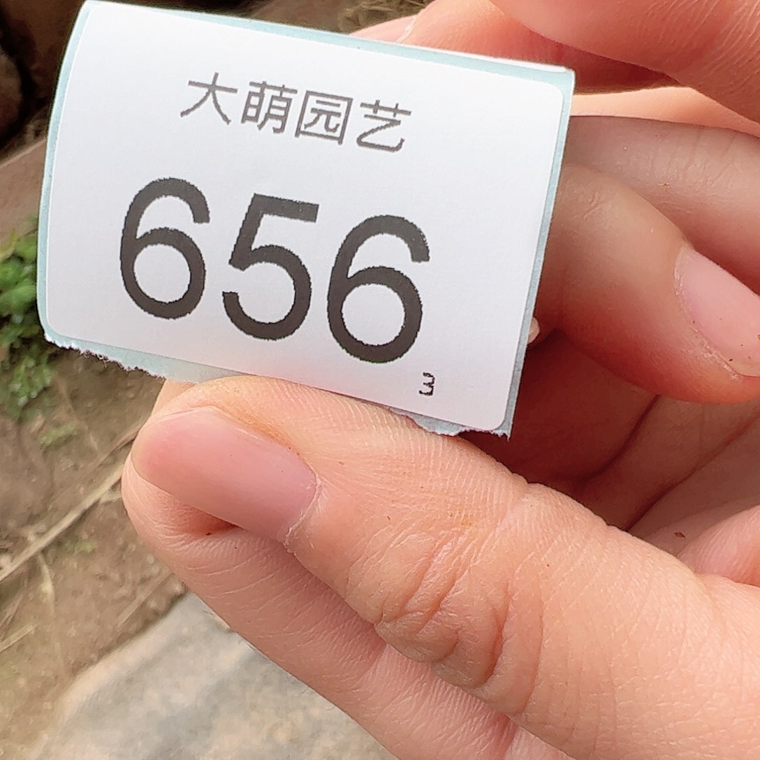 流*瑶0000656 一物一拍……