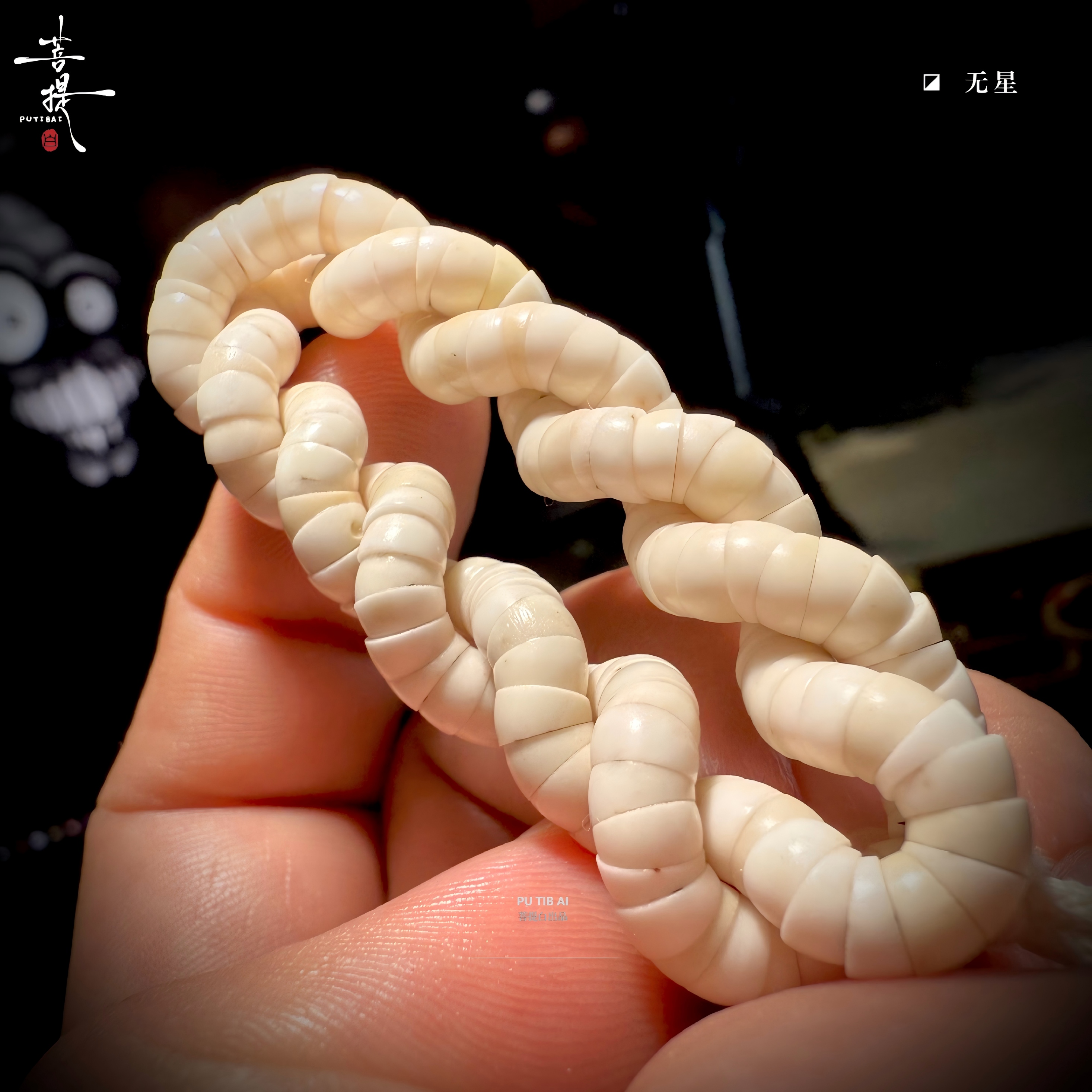 PUTIBAI菩提白 原生态石玉星月菩提骨瓷白无星猪大肠男女文玩手串