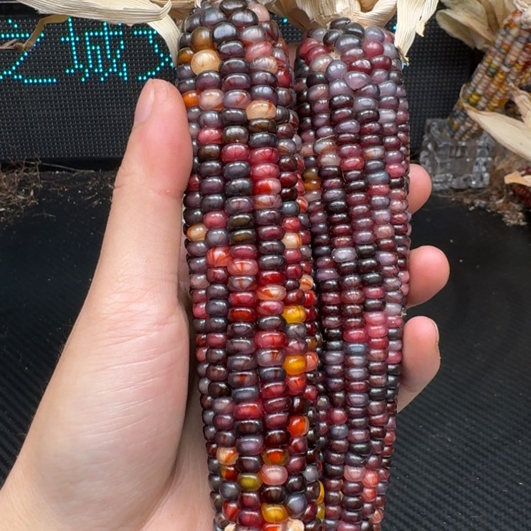 柏香籽/百香籽吊坠?****莹