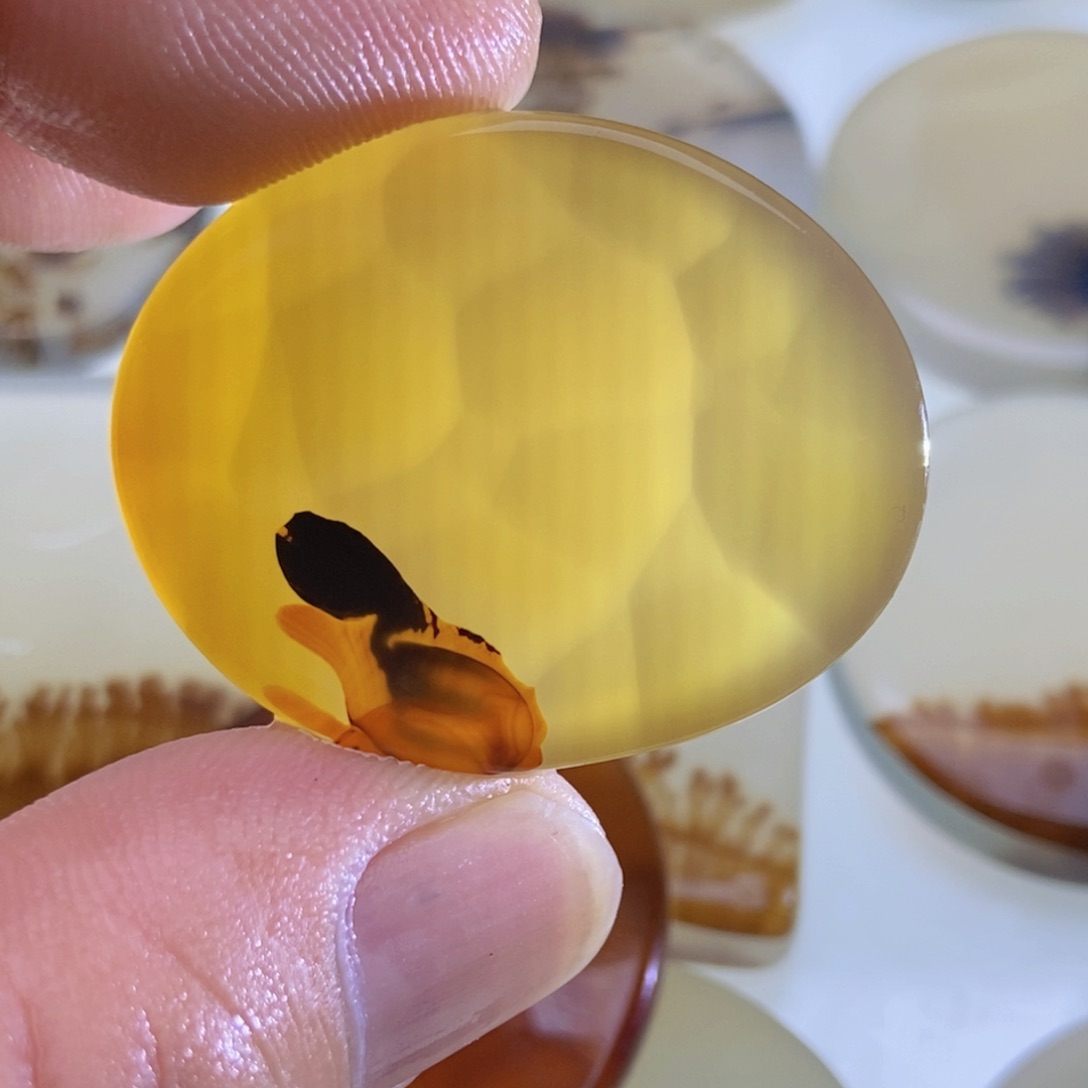 【闪购商品】未镶嵌颈饰玛瑙/玉髓