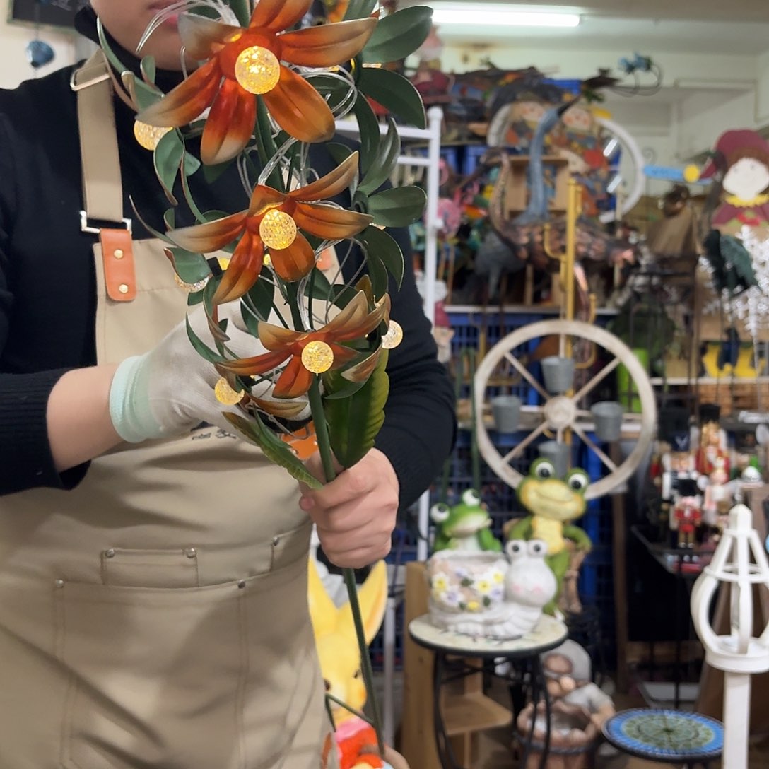 核桃木/黑胡桃（胡桃木）