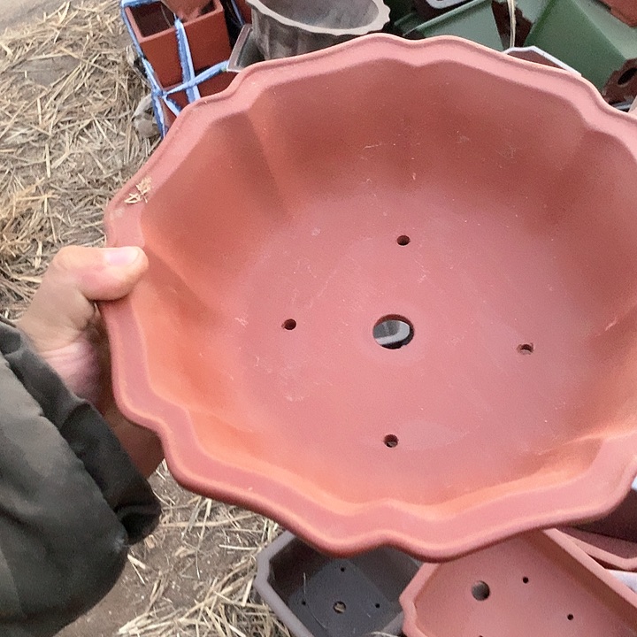 紫砂优秀青年科技人才创新人才