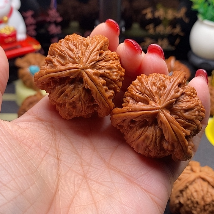 西****核桃41拼接白狮子