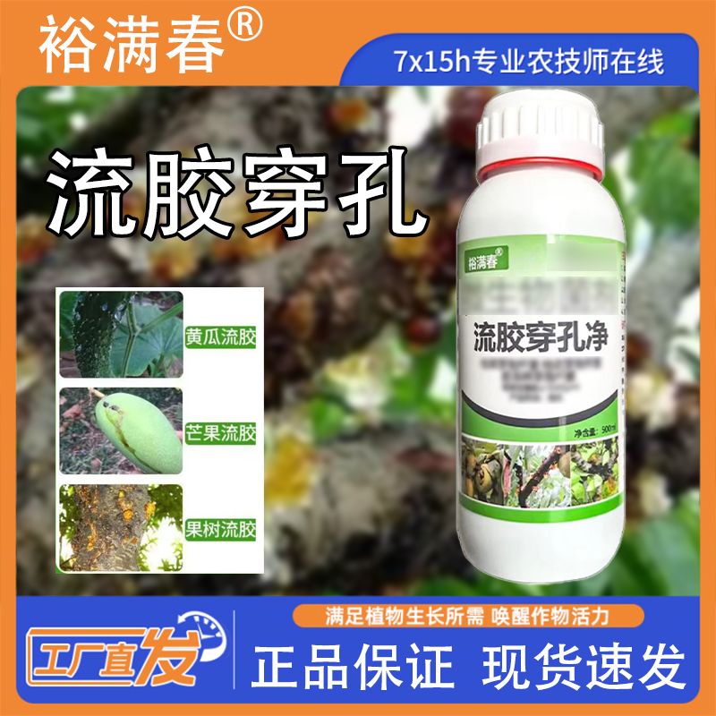 果树流胶净适用于桃树李子杏树黄瓜的芒果活菌流胶净氨基酸病菌剂