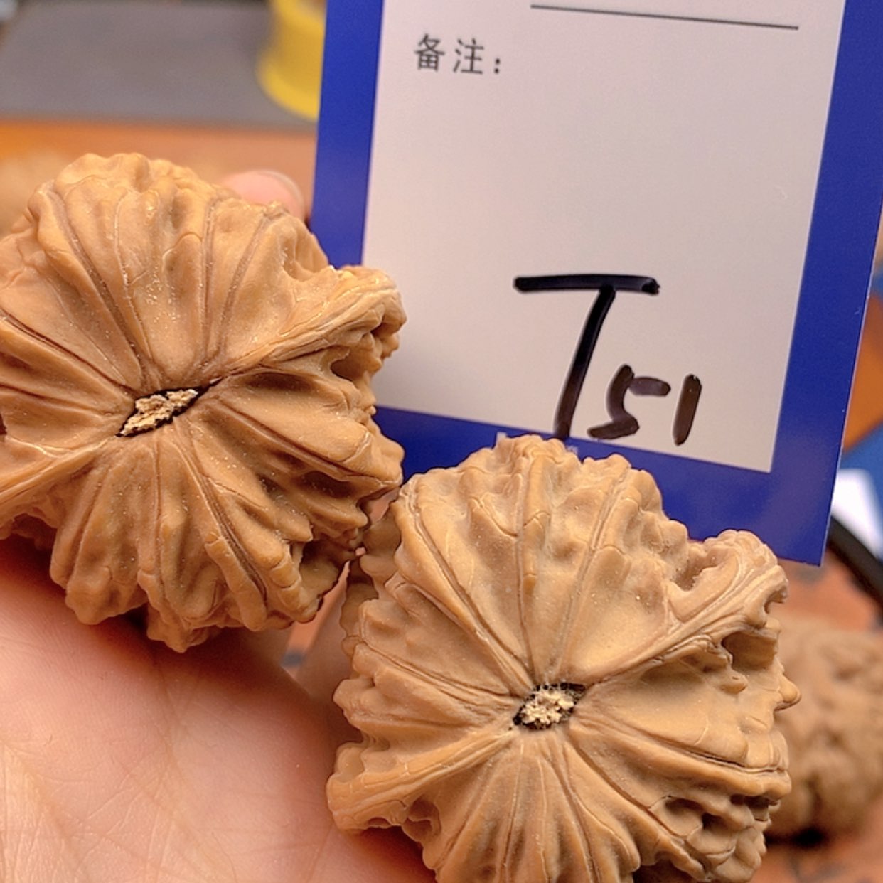【闪购商品】文玩核桃把件晨文玩核桃51