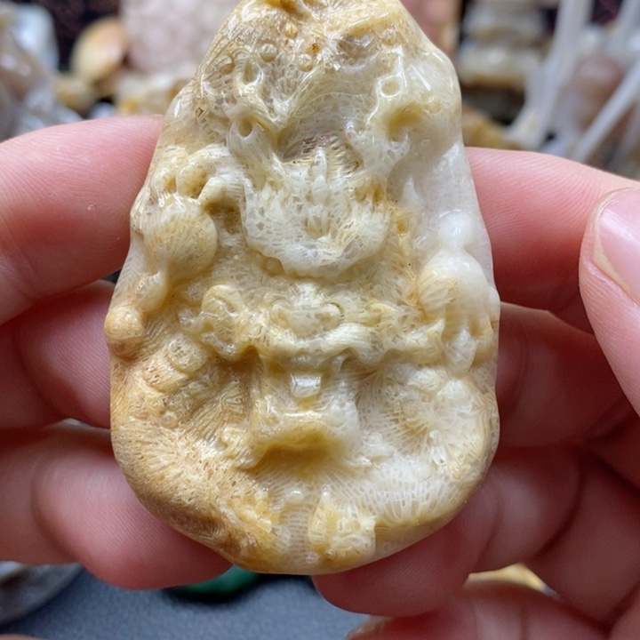 硅化珊瑚（珊瑚玉）颈饰未镶嵌