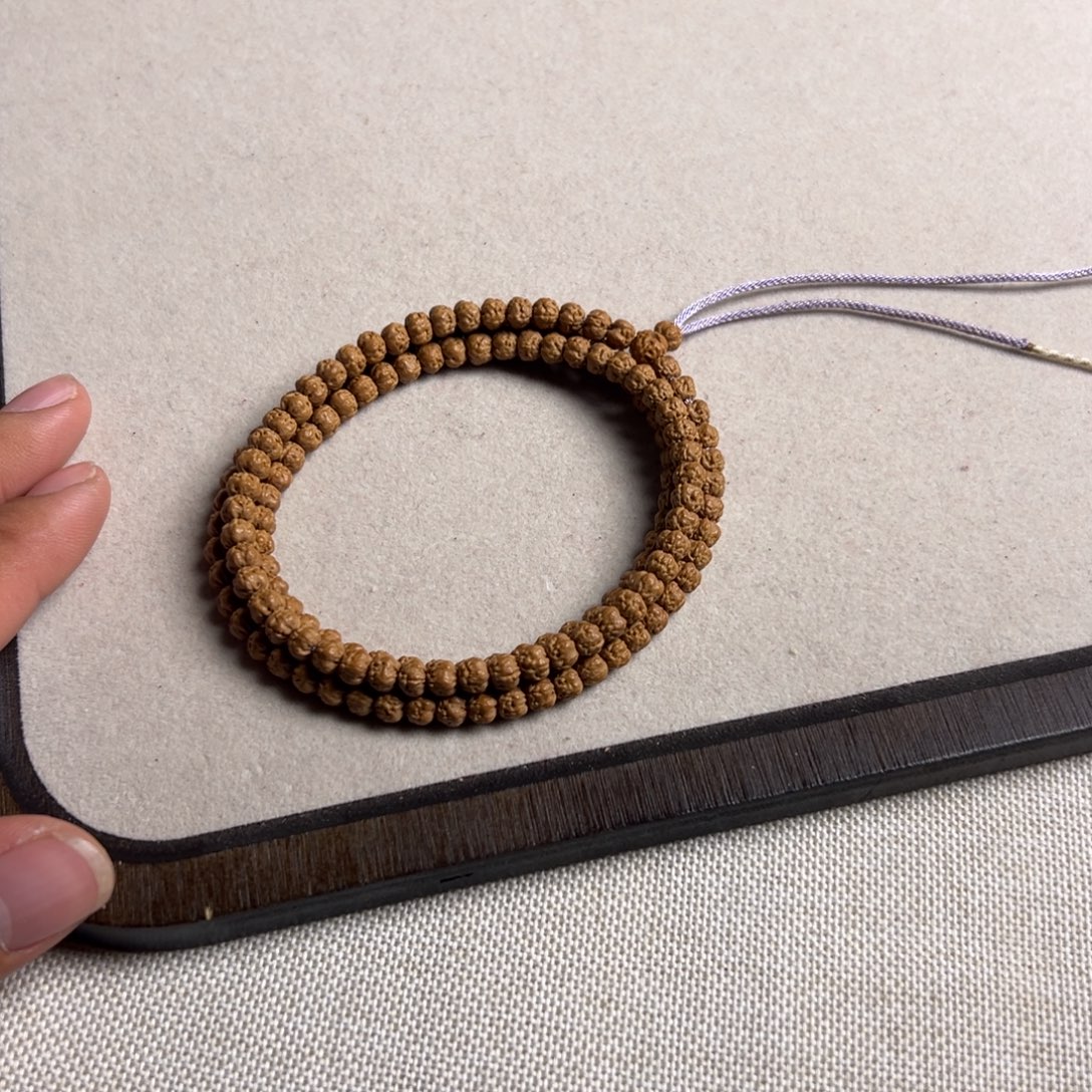 6.0五爪金龙原桩佛手