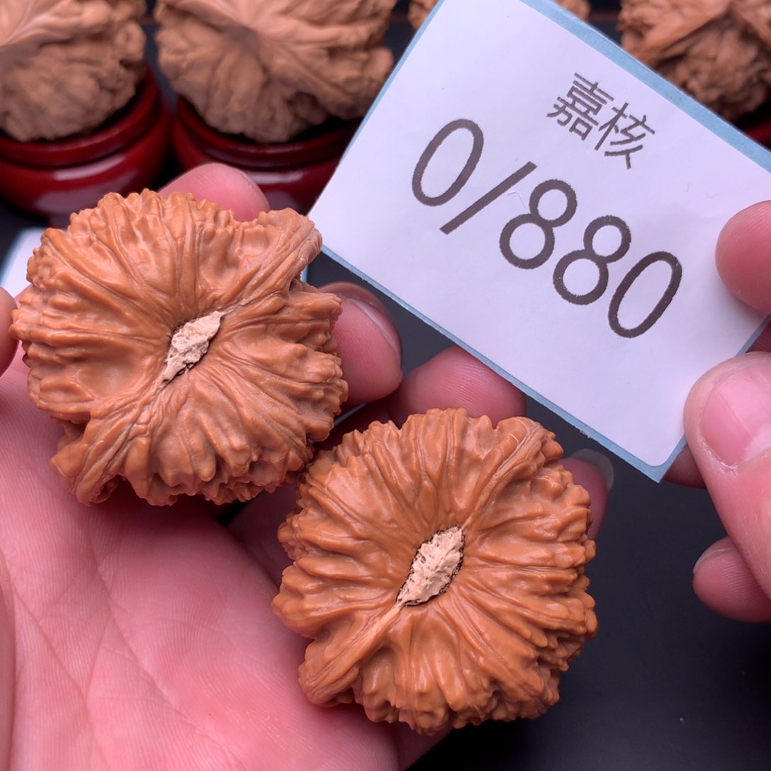 文玩核桃把件全品凹底白狮子46