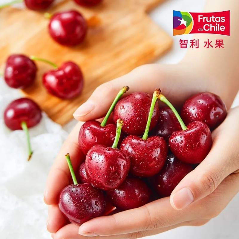 【进口桑提娜】智利海运车厘子J/2J/3J/4J级 2.5KG (内附果径卡)