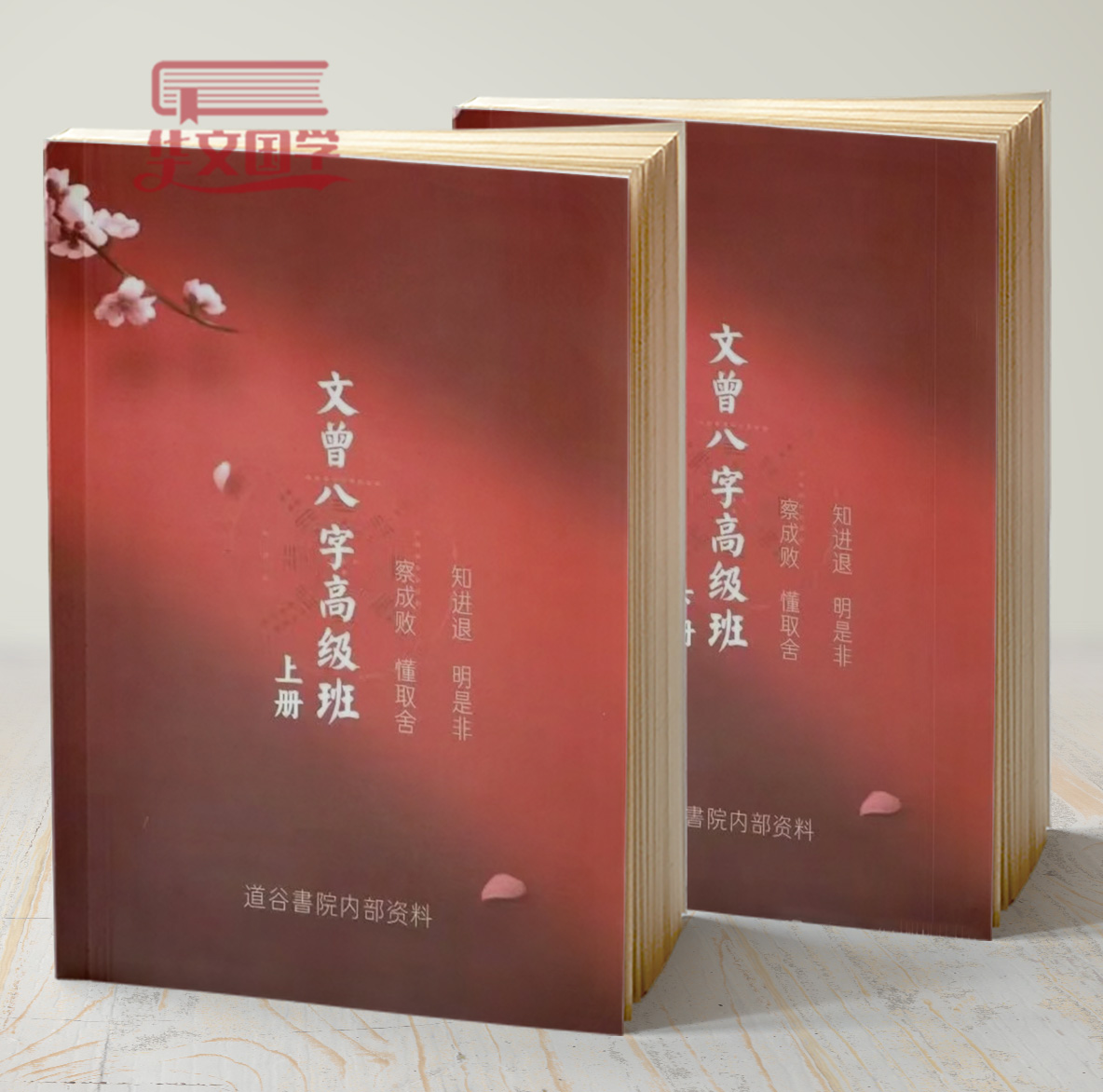 文曾八字高级班内部资料书籍上下两册