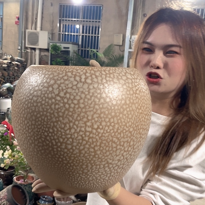 正品口19高23花盆