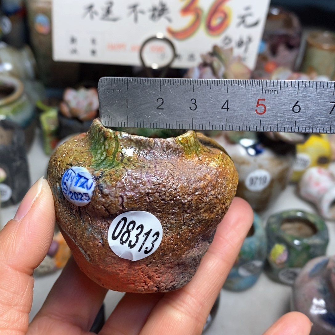 花盆拍3送一个小礼物