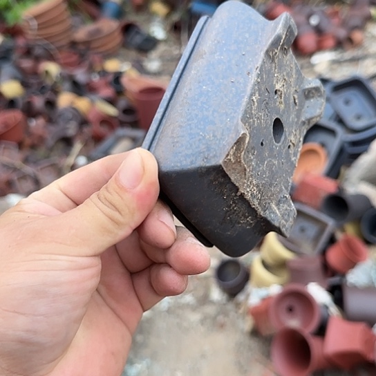 在家里等了你三分钟还等来