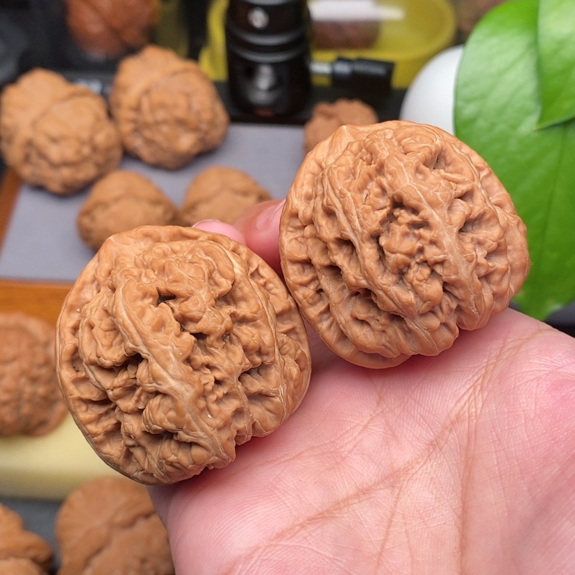 【闪购商品】文玩核桃把件全家福粗筋全品40