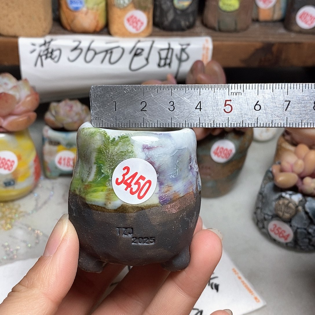 红陶拍5送一个小