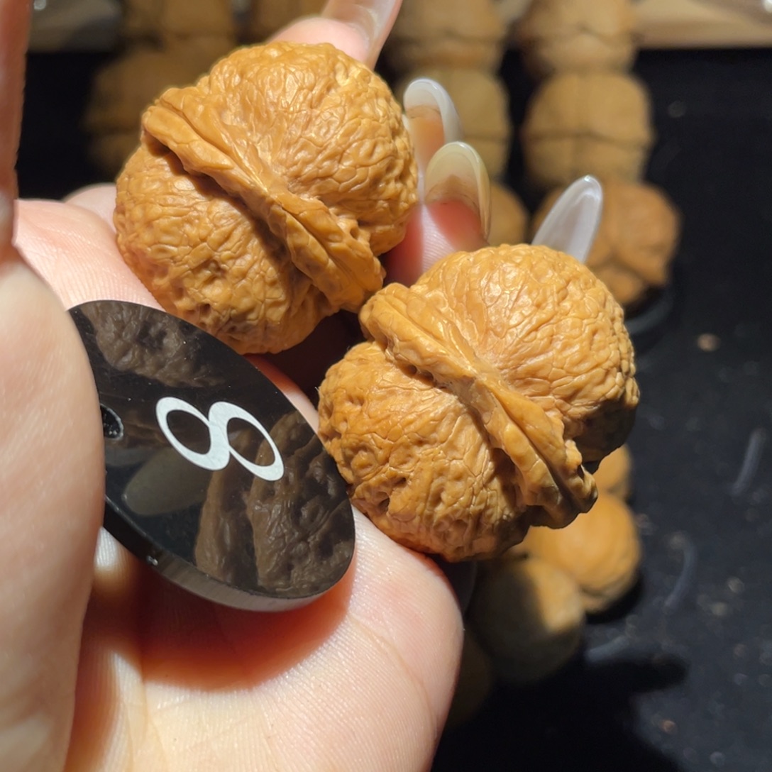 小狮子37尺寸核桃