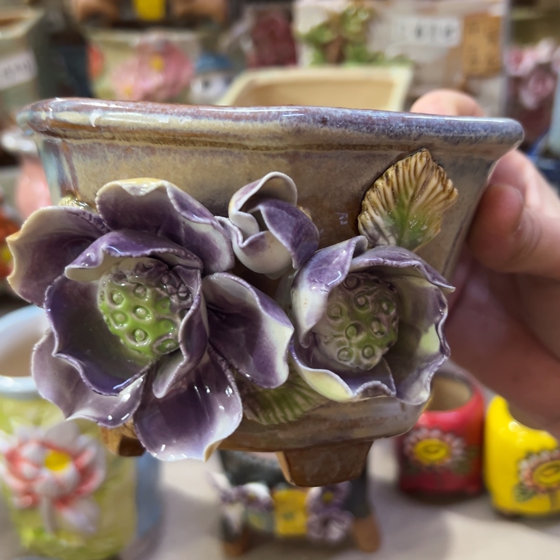 满20飞花盆爱退款拉黑