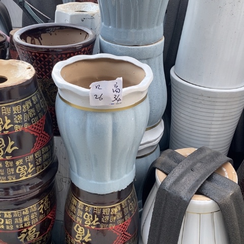 低腰花口金边蓝南瓜中 口26/34