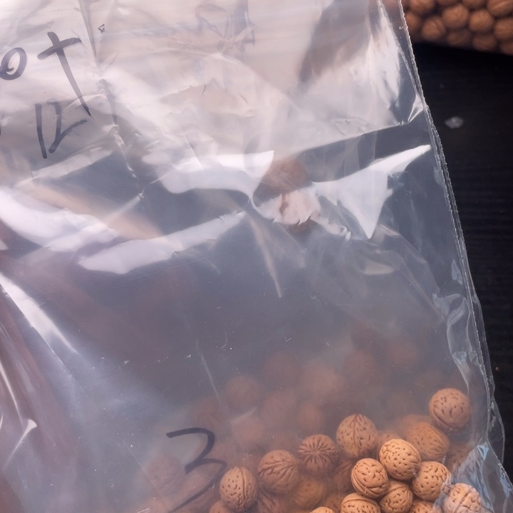 散发30元小桃核优惠活动