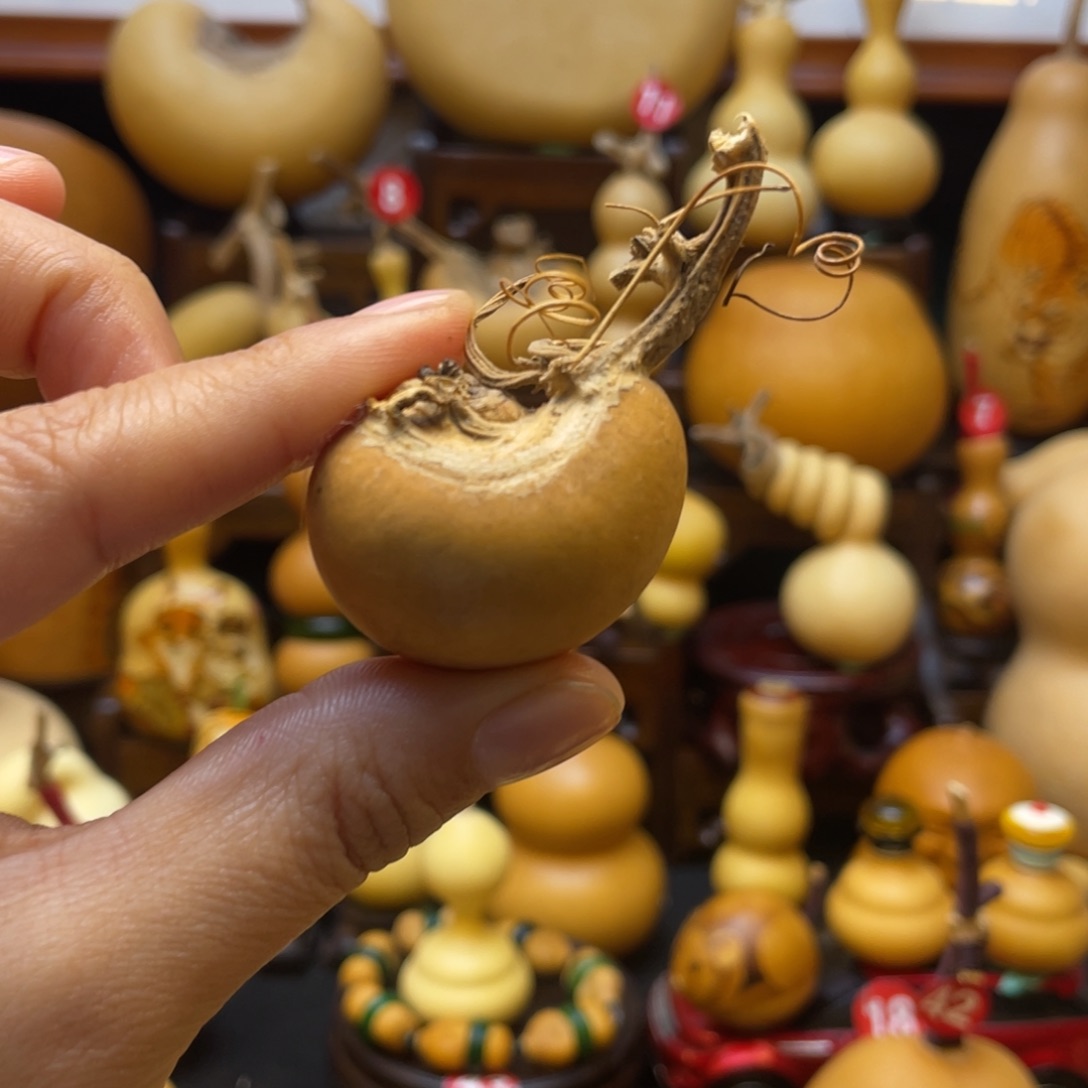 妖*葫芦头的做法很简单的一种做法