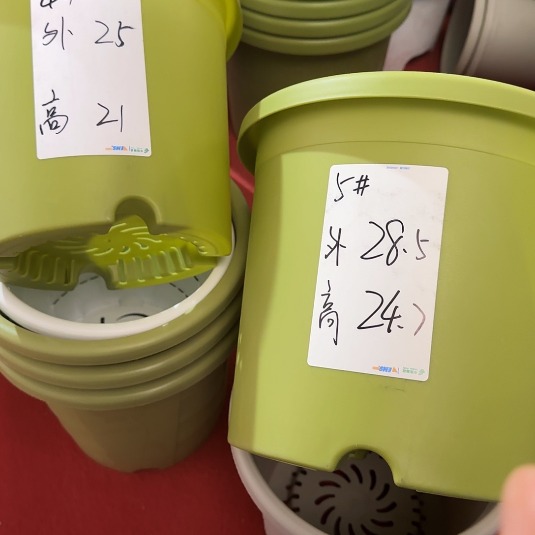 树脂四季5号带托6个果绿