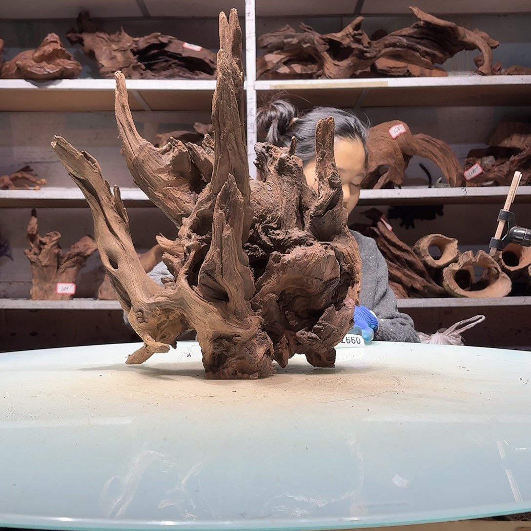 倍褚沉木，不包损必褪色彼**央0991