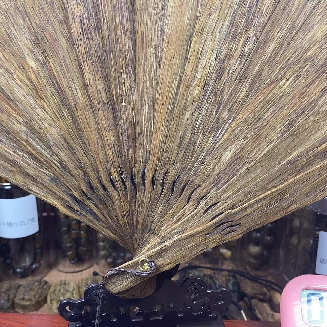 ?**狼芽庄大扇门桶咯么么