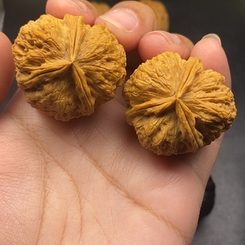 文玩核桃把件D****g37尺云南核桃