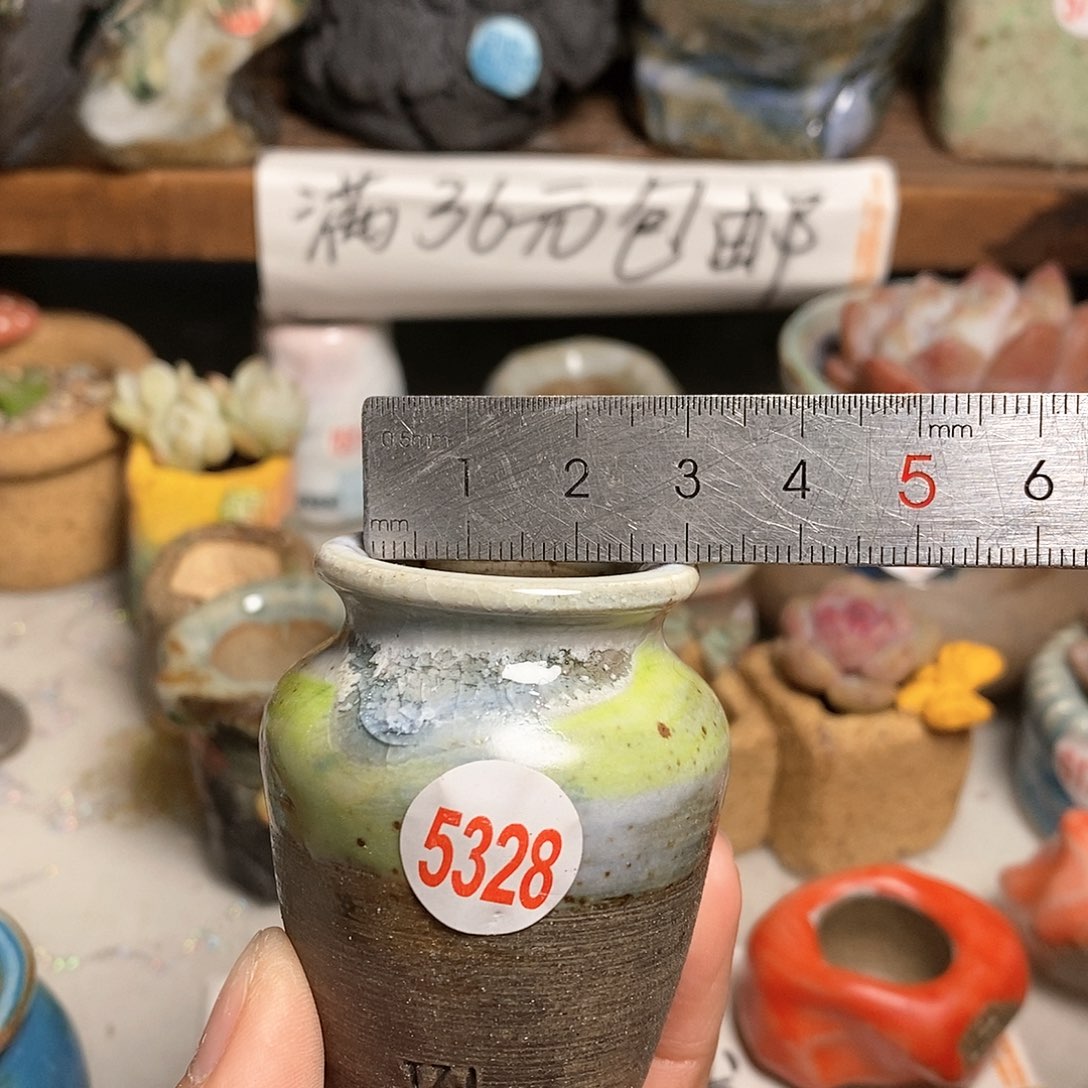 红陶拍5送一个小