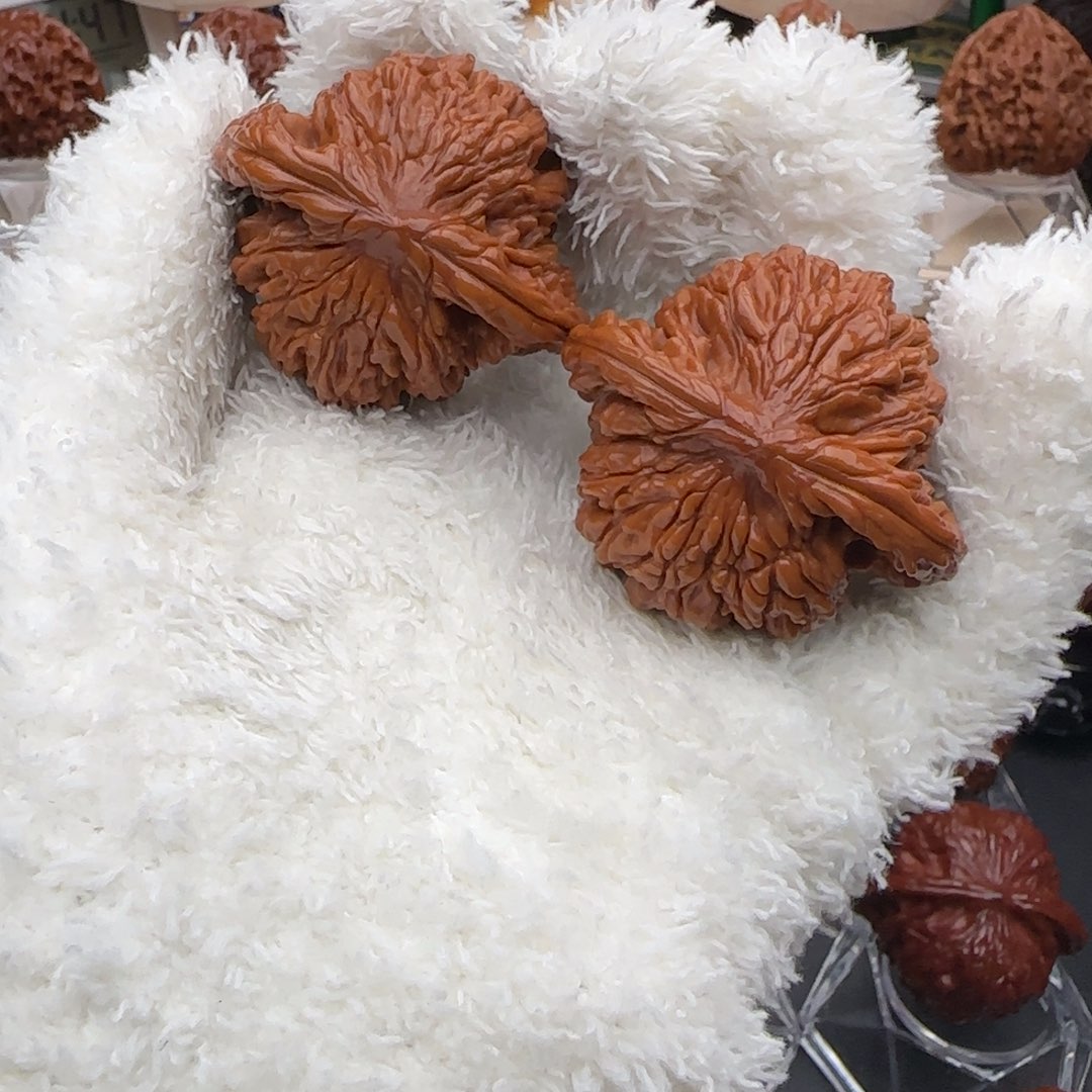 文玩核桃吊坠47全品狮虎兽