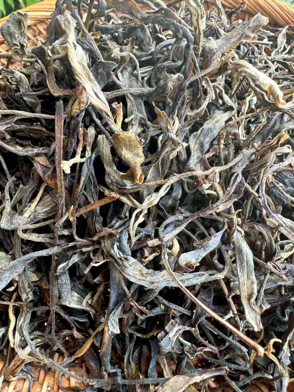 夏普號：专用生茶连接