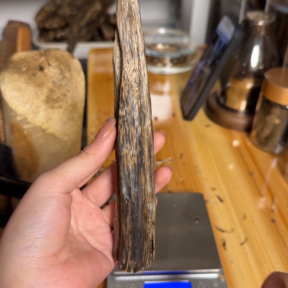 沉香白奇淳化虫漏老料44克
