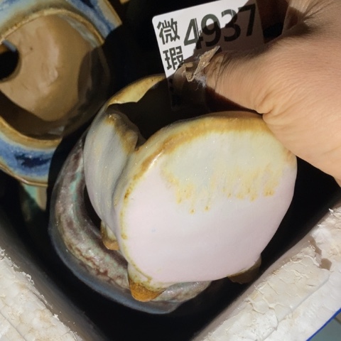 罐4937 微瑕38包邮景德镇陶瓷