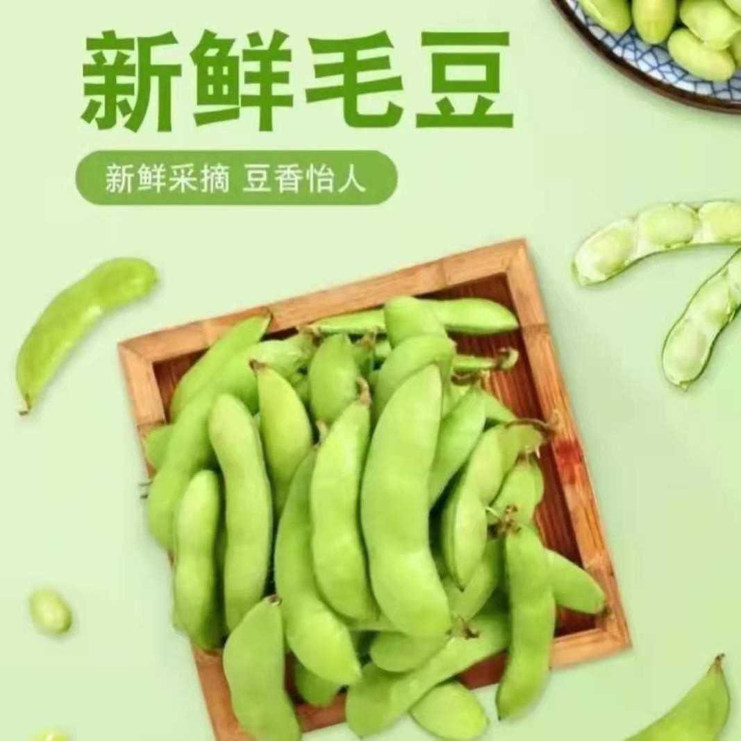 新鲜农家带壳毛豆现摘不水洗2025农家新鲜蔬菜