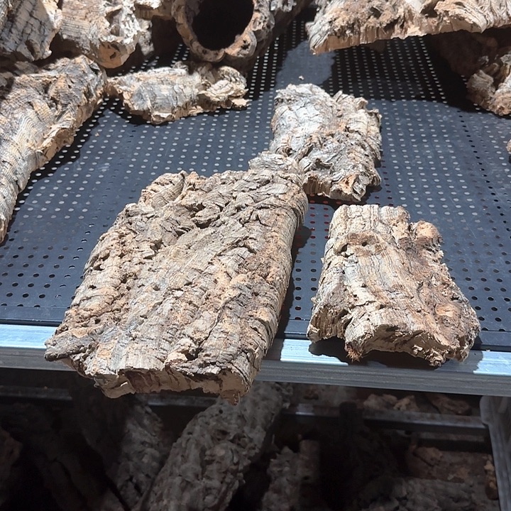 不***、完全开放一物一拍一物一发