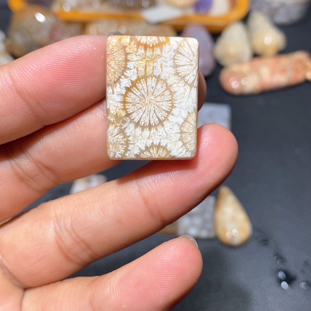 【闪购商品】硅化玉颈饰未镶嵌