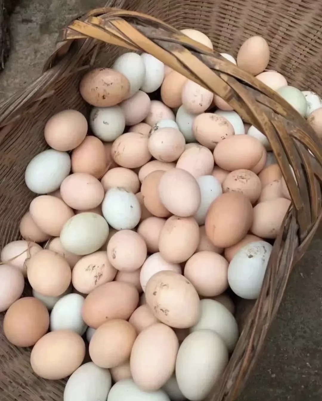 农家高山散养新鲜鸡蛋