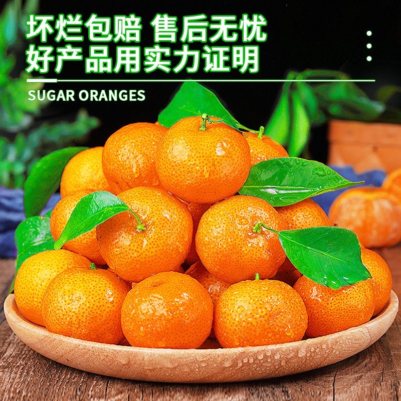 【砂糖橘】沙糖桔清甜可口薄皮沙糖桔桔子蜜橘砂糖橘