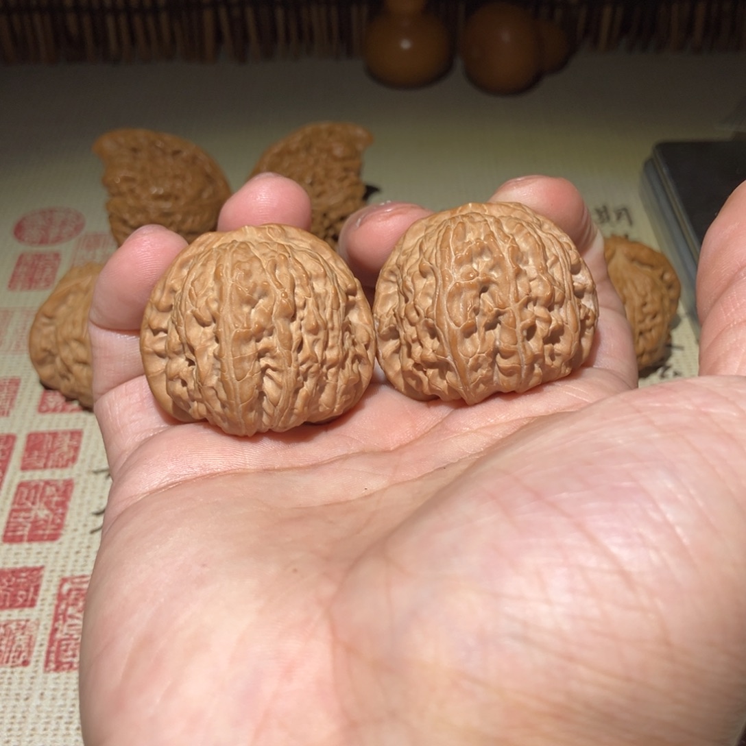 文玩核桃把件白狮子39尺全品