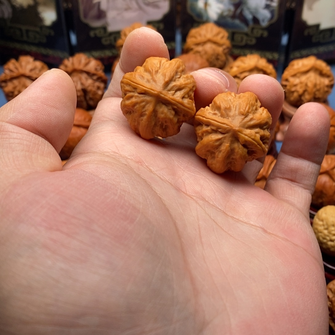 把件文玩核桃小霸王龙